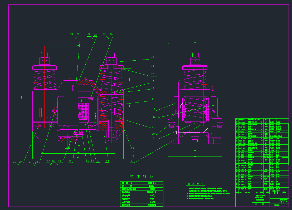 }(dng)CZ1000CADD